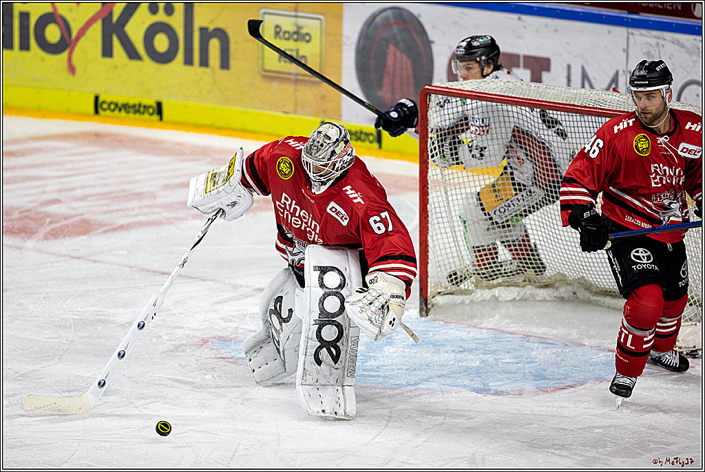 DEL;  Koelner Haie - Eisbaeren Berlin; Koeln, 06.03.2020